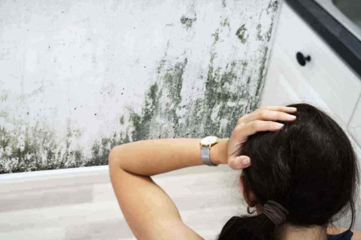 le responsabilità e le modalità di risarcimento